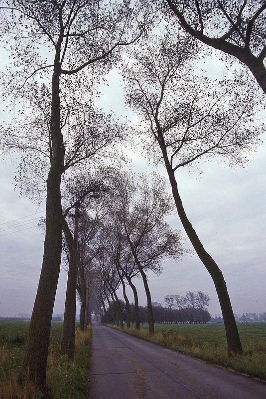 WT 2000 263-11 Belgium.jpg